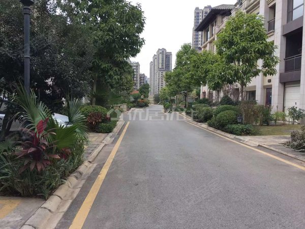 南宁邕宁蒲庙镇阳光城丽景湾(别墅)阳光城丽景湾(别墅) 精装修 适合