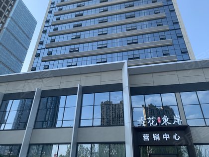 青花东岸优点,不足,青花东岸怎么样,青花东岸周边房产中介经纪人评价