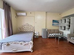 柳州城中城中城中区阳光一百 大开间 靠小区这面不吵 家具家电齐全 拎包入出租房源真实图片