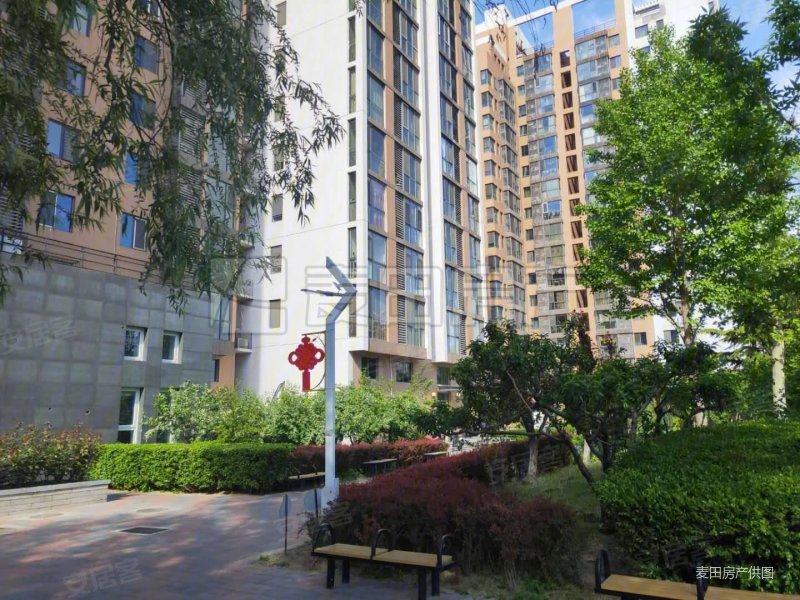 大悦城 6号线 青年汇佳园 二期 高层 东南大一居