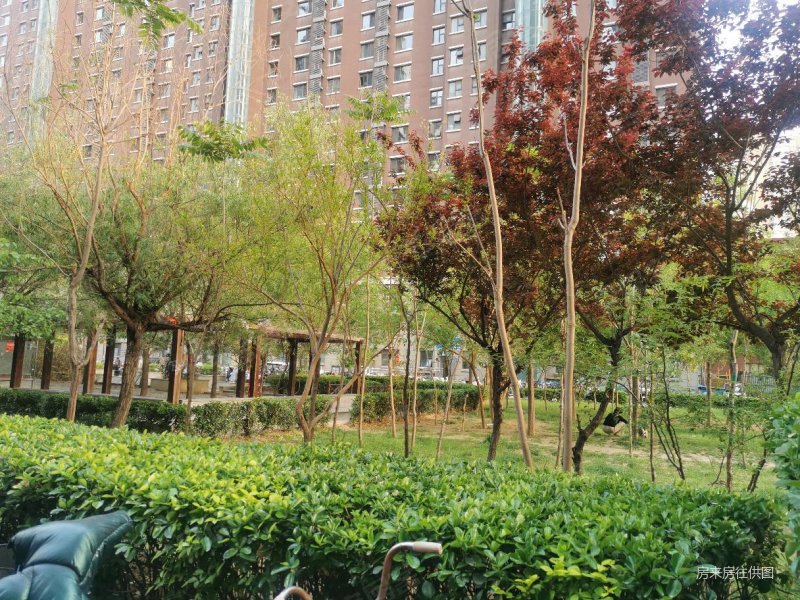 邯郸房产网>邯郸二手房>丛台二手房>丛台二手房>中央公园小区>800_600