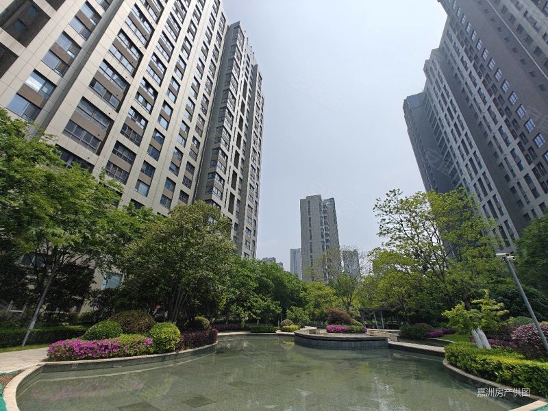 仁恒绿洲新岛江枫园3室2厅2卫135㎡南北488万