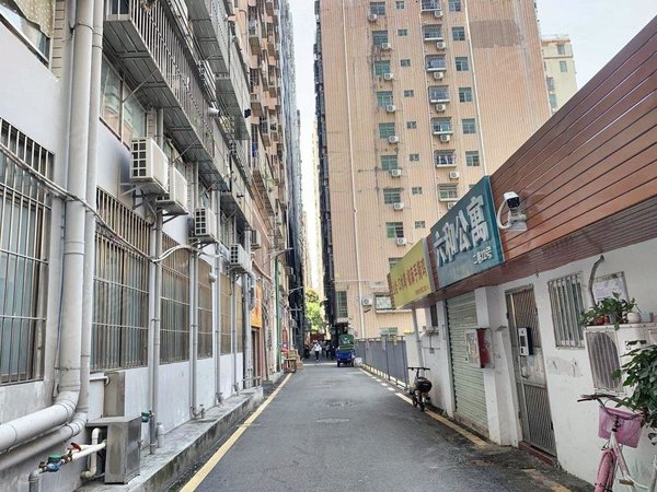 深圳宝安宝安中心区径贝华侨新村1号线抨洲地铁 精装全配公寓,多种