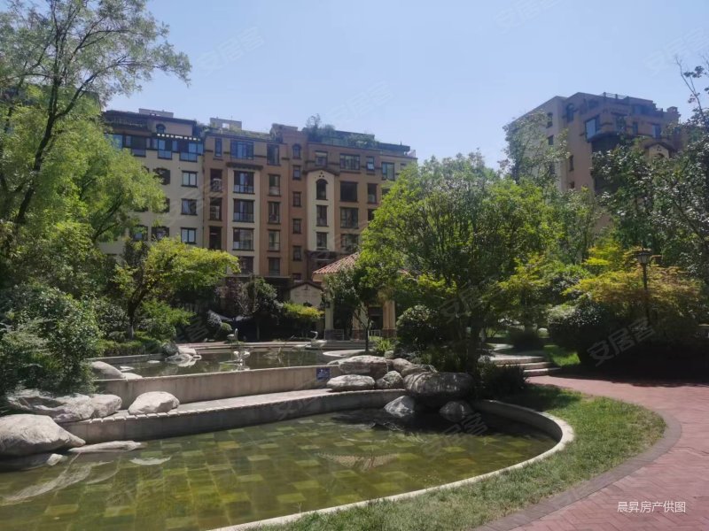 龙湖花千树