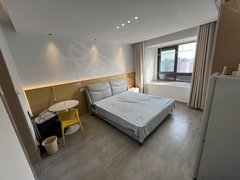 苏州吴中长桥近石湖东路4号线 龙湖天街 吴中万达  添可 维信电子出租房源真实图片