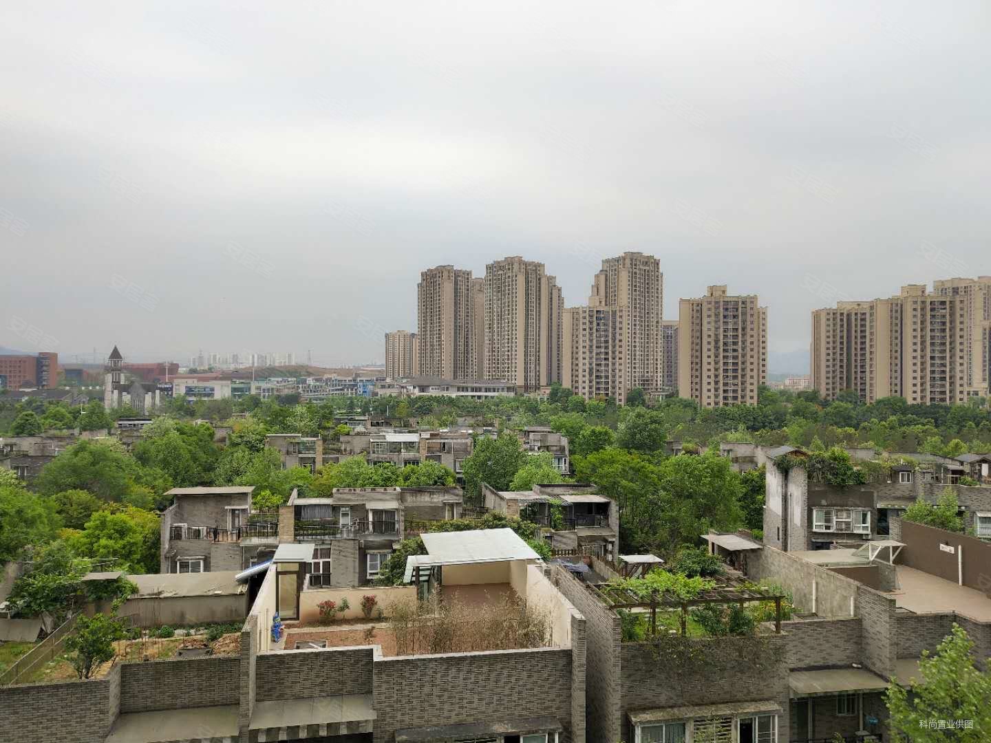 公园小区,虎溪花园别墅下叠,大爱户型,送花园带双车位