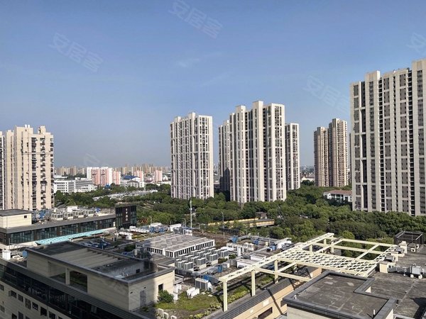 上海浦东三林东方康安家园8号线前滩旁,商场旁,双南大两房,实诚房源