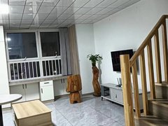 开元鑫城公寓复试公寓精装修拎包入住