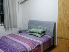 雅安雨城中大街青元村三组自建房 1室1厅1卫出租房源真实图片