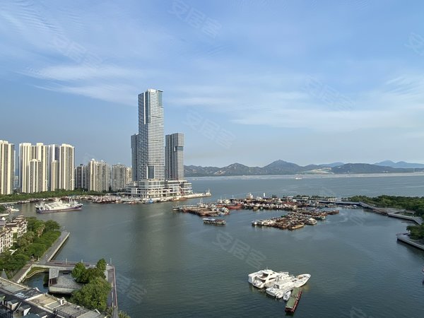 深圳南山蛇口南海玫瑰花园(二期)南海玫瑰二期新出高颜值轻奢海景房