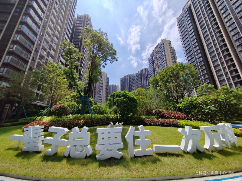 惠州万科大四居,在家目送孩子  ,急售,次新,婚房