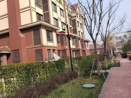 班芙小镇枫博园,海轩道,近强盛路 - 天津班芙小镇枫博园二手房,租房