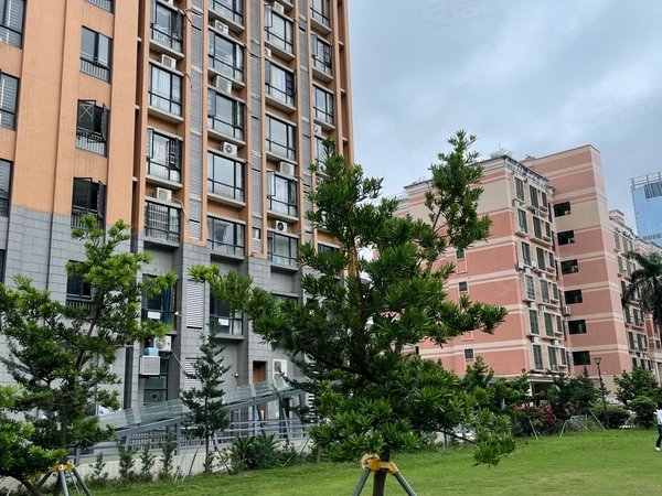 珠海香洲梅华嘉丰花园出租新香洲文园中学附近嘉丰花园二期电梯一房一