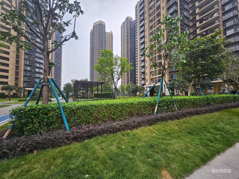 香市路新小区 万科金域东方刚需3房 仅卖220万  高楼层