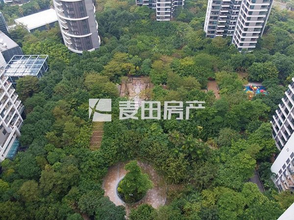 【多图】海峡国际社区(二期),会展中心租房,急租!