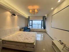 信阳羊山新区恒大名都恒大名都 1室1厅1卫 电梯房 精装修 配套齐全出租房源真实图片