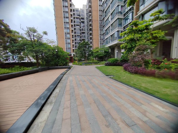 东莞莞城罗沙地王广场(三期)莞城地王广场 精美一房家私电齐全 南北