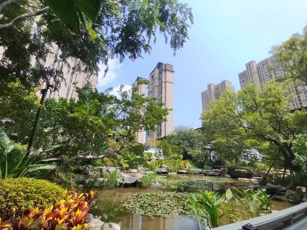 厦门集美集美新城建发央著(二期)集美软件园三期 建发央著(2期)外国语