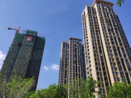 不足,东原阅境怎么样,东原阅境周边房产中介经纪人评价-武汉安居客