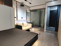 永康西城南龙广场西站 宝龙 维斯特 交通便利 价格实惠 月付 带电梯出租房源真实图片