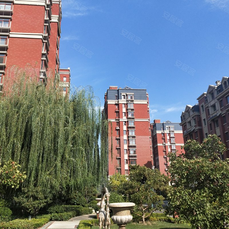 【开元盛世信园, 开元盛世信园小区专家解读页】- 泰安58同城