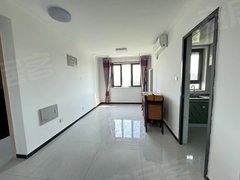 晏河湾(10号地块) 1室 精装修 电梯房 60平