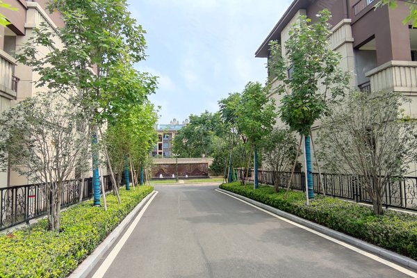 海容骧龙国际(别墅)