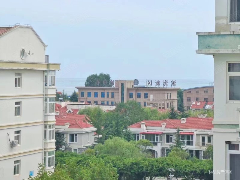 颐和花园 高楼层采光充足 精装修 大两居 大拇指后面离海近