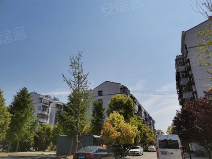 徐州小区 邳州小区 银杏大道小区 锦江花园