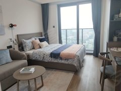 深圳南山前海一湾臻邸 1室0厅1卫  豪华装修 37平米出租房源真实图片