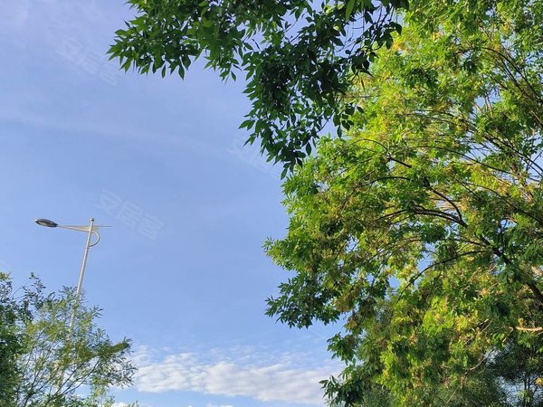衡水桃城怡然城北斗星城七区抢北斗七区,高铁站附近,不包物业不议价出租房源真实图片