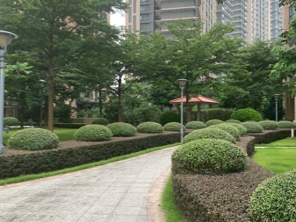 中山火炬开发区张家边泰瑞居业主委托泰瑞居电梯3房出租,租金1700出租