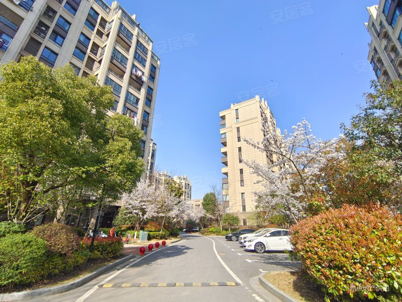 明发云庭3室2厅2卫127㎡南北250万