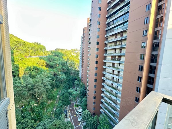 深圳盐田大梅沙星都梅沙天邸星都梅沙天邸 1室2厅1卫 电梯房出租房源