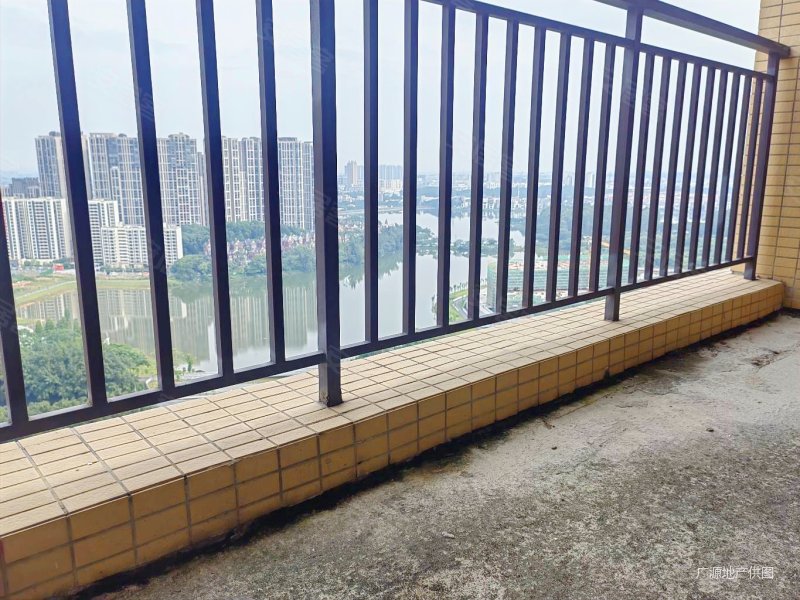 降价啦!望湖的南向的四房!奥园观湖尚居!