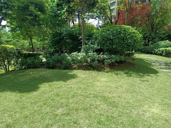 宜宾南溪新城区华恩凯丽滨江南溪职中培文学校附近,精装修三室两厅两