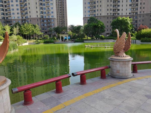淄博张店理工大学恒大帝景实拍图!温馨精致2居室!