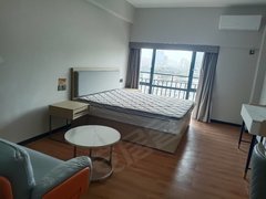 深圳龙岗坂田(房源已审) 品牌公寓 可养宠物 视野开阔出租房源真实图片