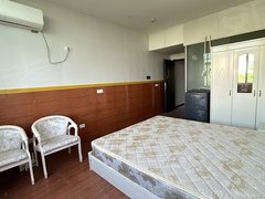 苍南灵溪物资商厦8街河滨东路公寓出租 近魅力银泰押一付一可短租可养宠物无中介出租房源真实图片