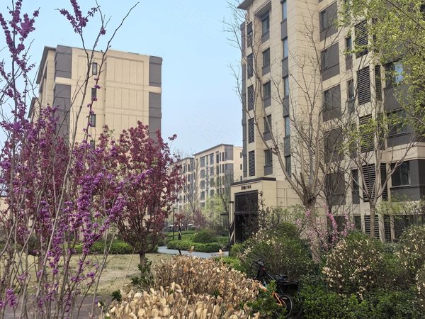 【多图】津门正荣府,张家窝租房,南站旁 近经纬恒润 新校区电梯洋房