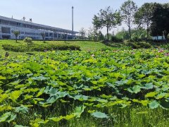 西湖半岛 3室2厅1卫