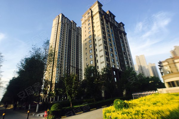 月星国际城,沈中大街1号-沈阳月星国际城二手房,租房-沈阳安居客