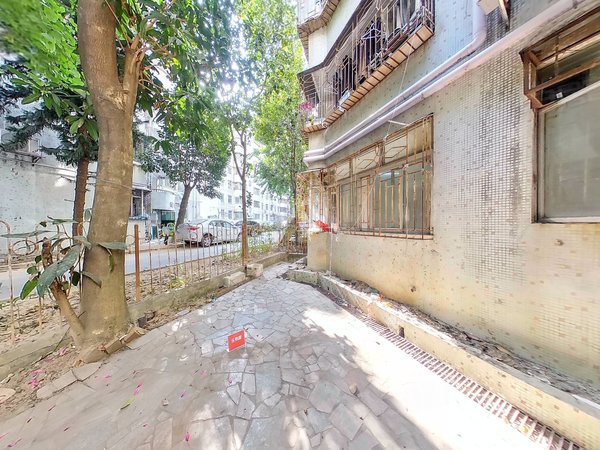 深圳龙岗坂田富豪花园(坂田)富豪花园(坂田) 3室2厅2卫 南北通透 96平