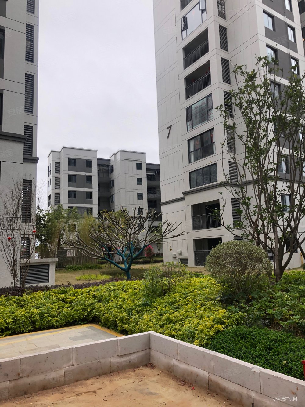 大东海中央府e区