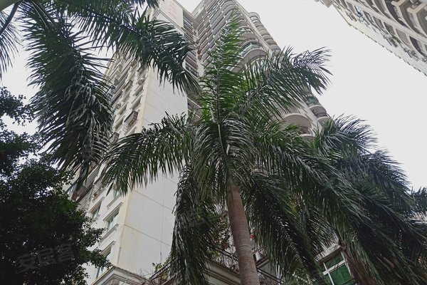 中城广场,文华路13号-海口中城广场二手房,租房-海口安居客