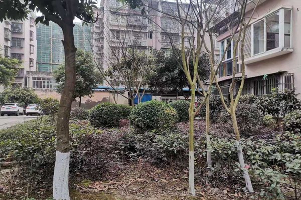 遂宁小区 船山小区 南门小区 美宁万象新天 美宁万象新天怎么样特色