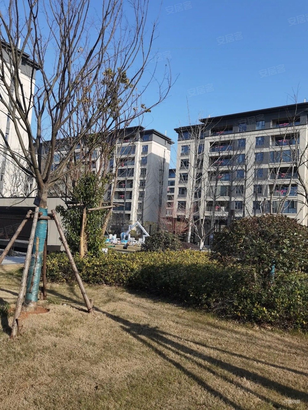 浅山风华采光刺眼住房3室2厅房东急置换诚意卖房