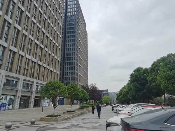 重庆渝北空港新城天晋10号线轻轨站天晋精装两室出租出租房源真实图片