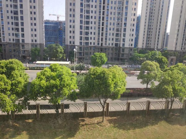 苏州吴中郭巷尹东八村(二区)近吴淞江科技产业园,天云广场傍.