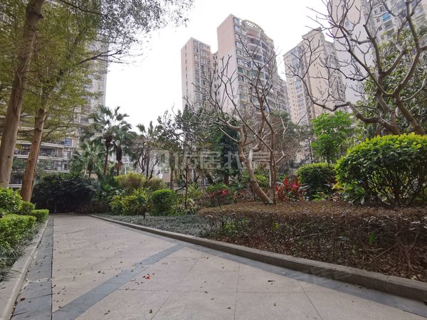 南宁青秀凤岭北保利凤翔花园航洋商圈 精美温馨电梯两房 居家配齐